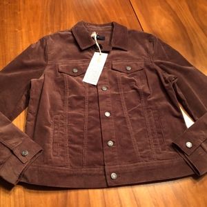 TALBOTS Corduroy JACKET New w/Tags Womens L Brown